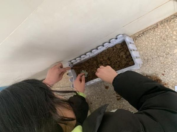 “走廊鮮花(huā)種植”活動第一(yī)輪評選結果來(lái)啦 (1)