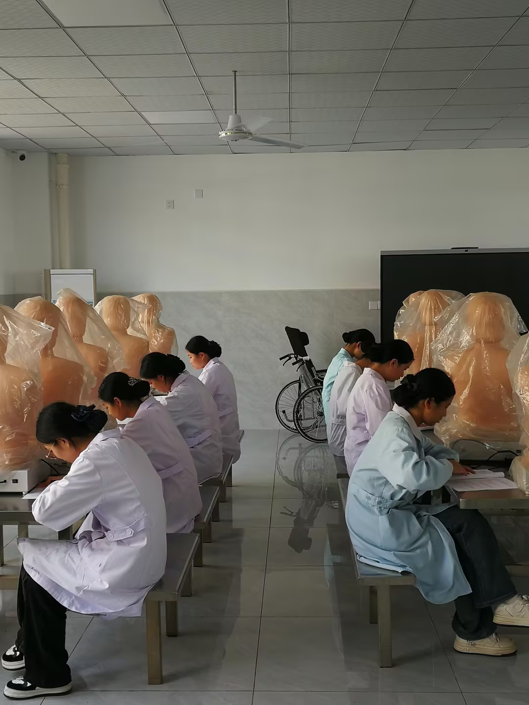 QQ圖片20231110090704