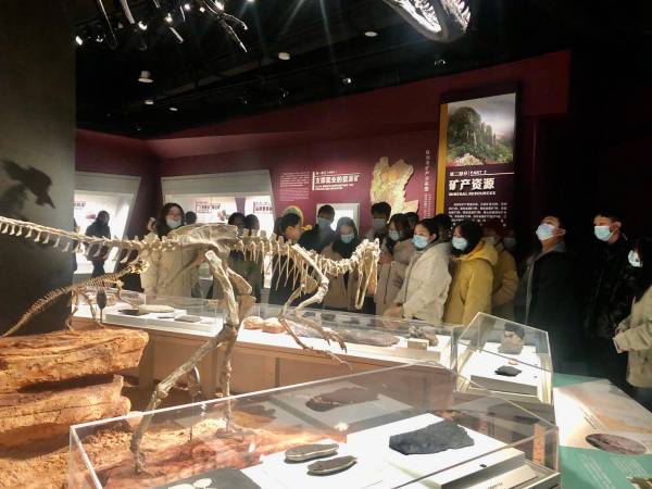 【黨團共建·凝心聚力】我校(xiào)開(kāi)展參觀株洲博物(wù)館·株洲美(měi)術(shù)館黨團活動