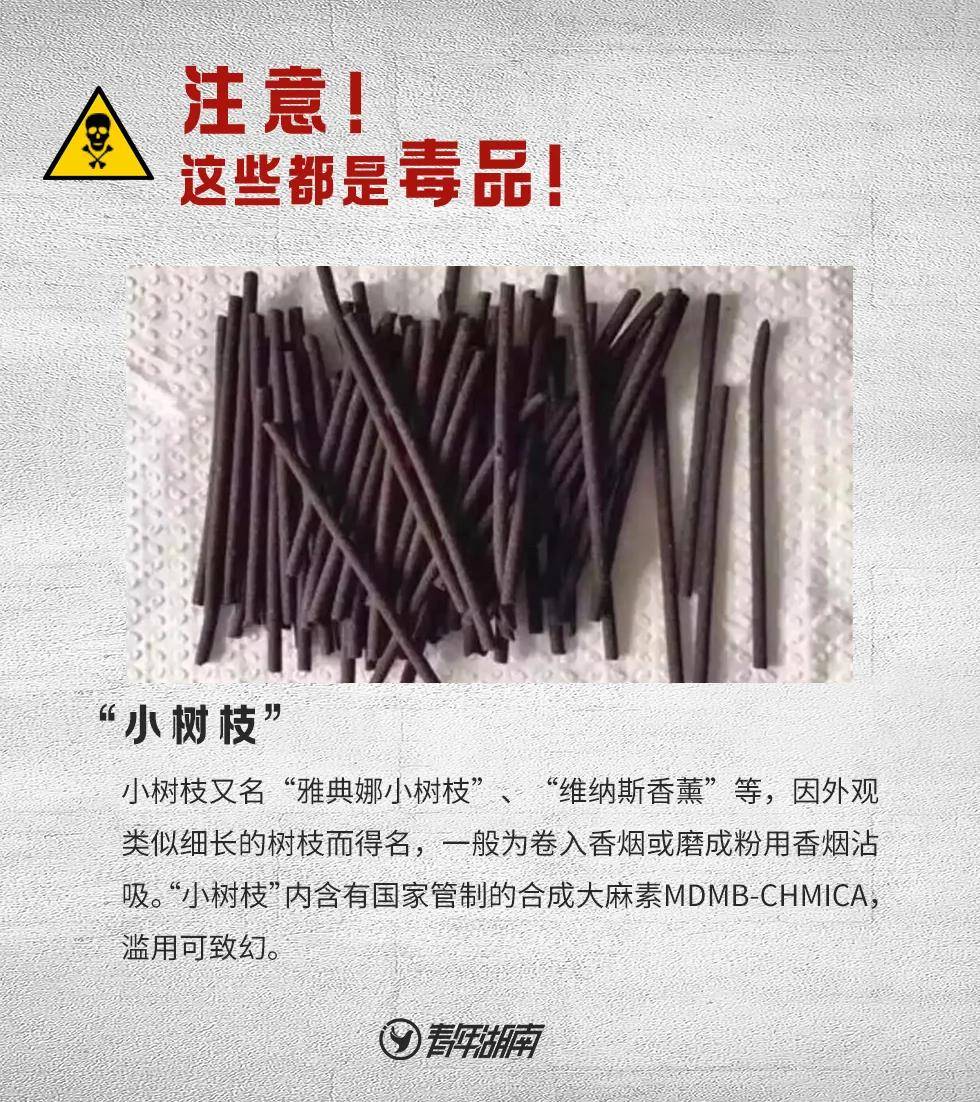 微(wēi)信圖片_20210627082741
