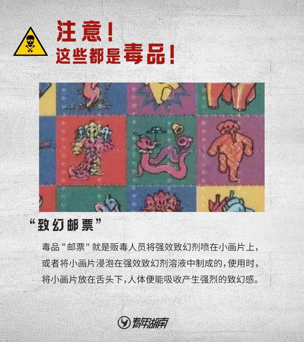 微(wēi)信圖片_20210627082746