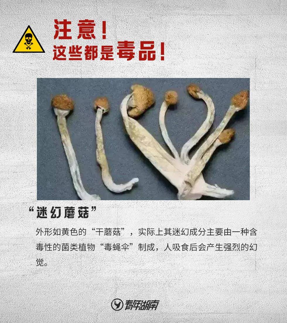 微(wēi)信圖片_20210627082754