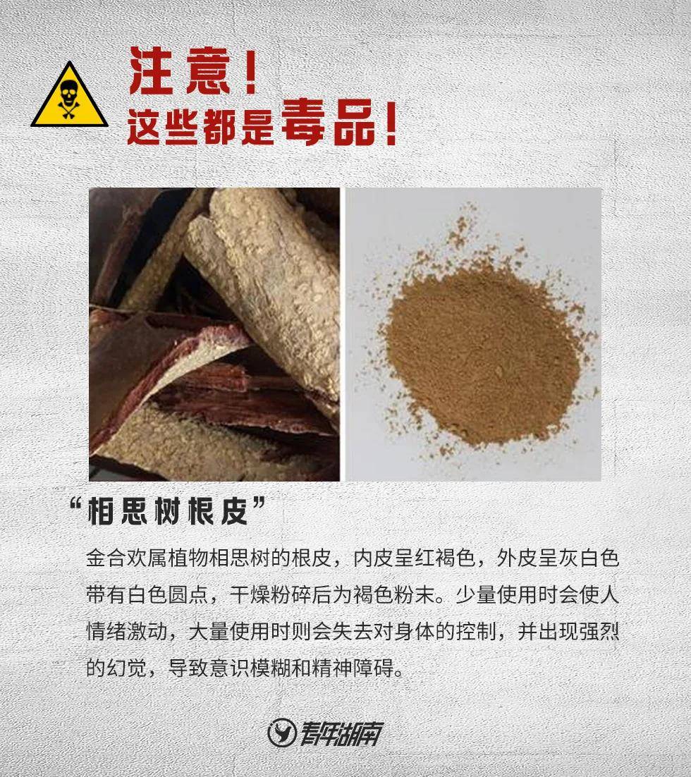 微(wēi)信圖片_20210627082752