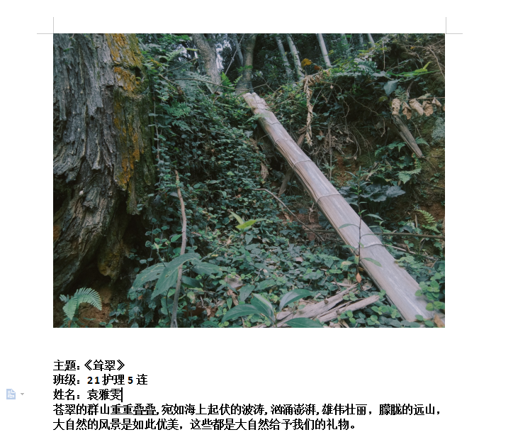 37聳翠-五連-袁雅雯