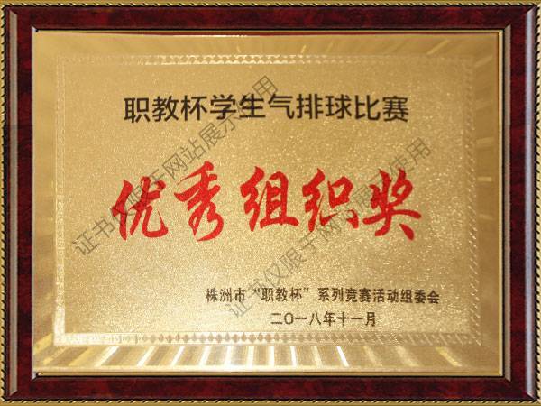 職教杯學生(shēng)氣排球比賽優秀組織獎